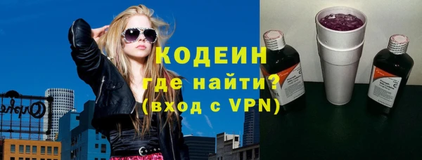 индика Медвежьегорск