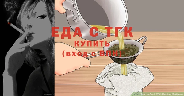 индика Медвежьегорск