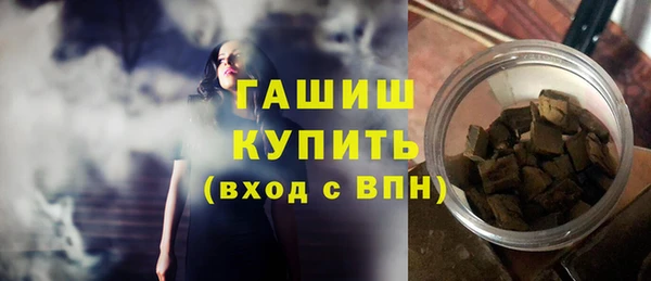 индика Медвежьегорск