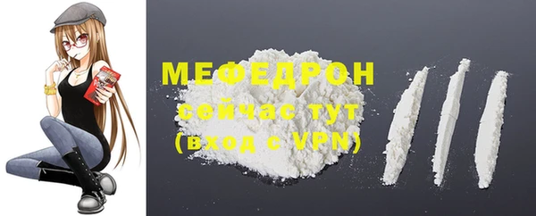 индика Медвежьегорск