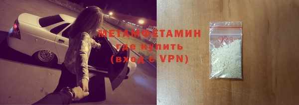 индика Медвежьегорск