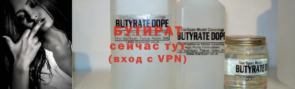 индика Медвежьегорск