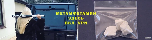 индика Медвежьегорск