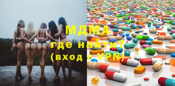 индика Медвежьегорск