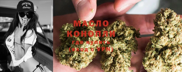 амф Сосновка