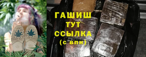 индика Медвежьегорск