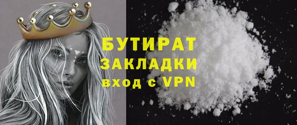 индика Медвежьегорск