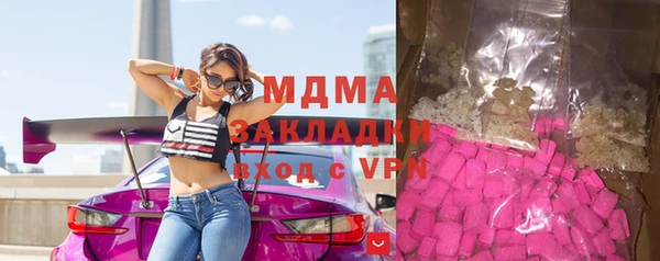 индика Медвежьегорск
