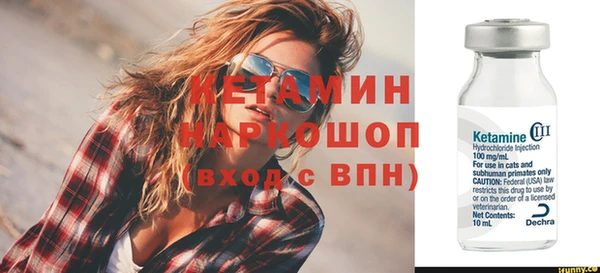 индика Медвежьегорск